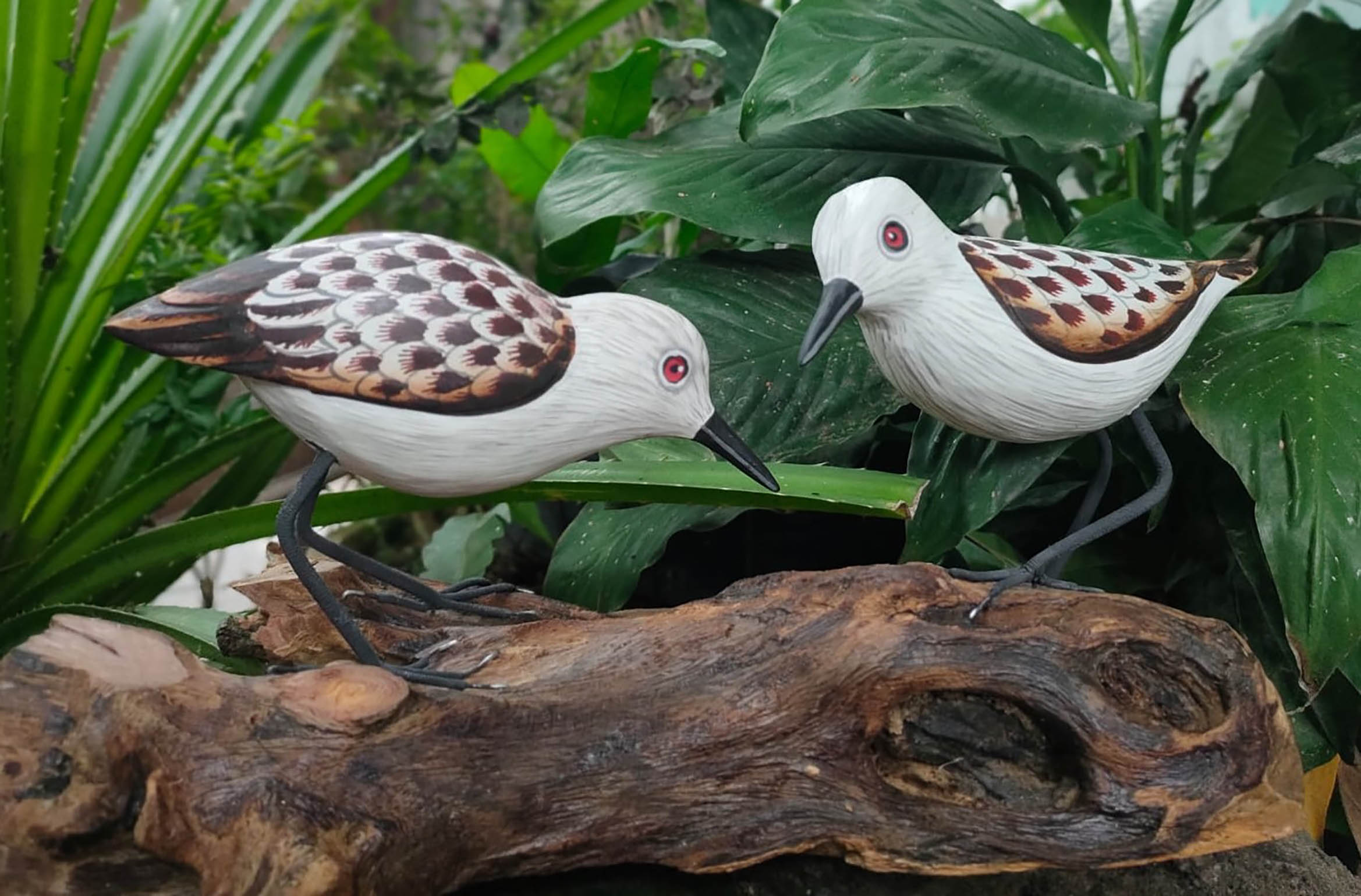 Lovely hand-carved birds from Bali to summer guests staying 4 nights or more.