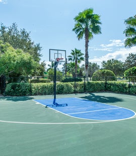 Basketball Court Palms of Destin