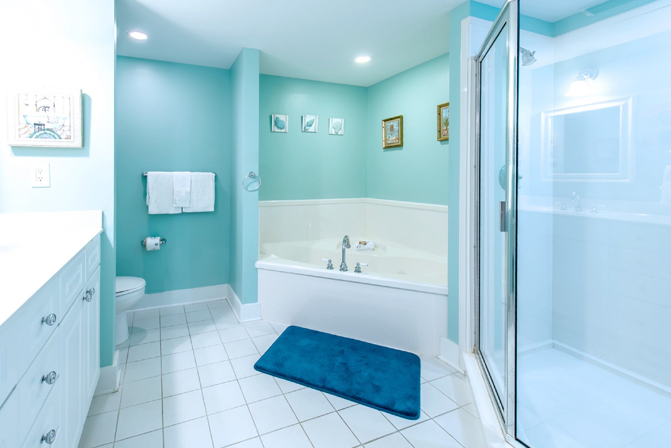 Master Bath - Soaking Tub and Glassed Shower