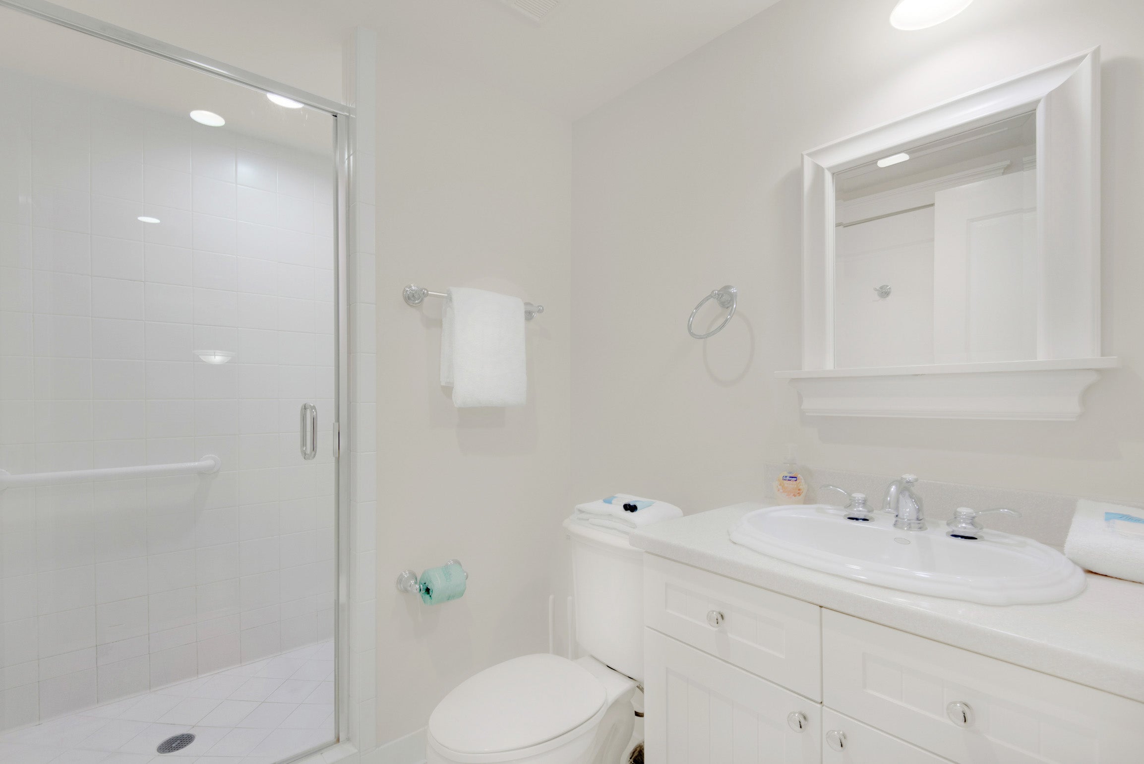 Guest bath with walk-in shower