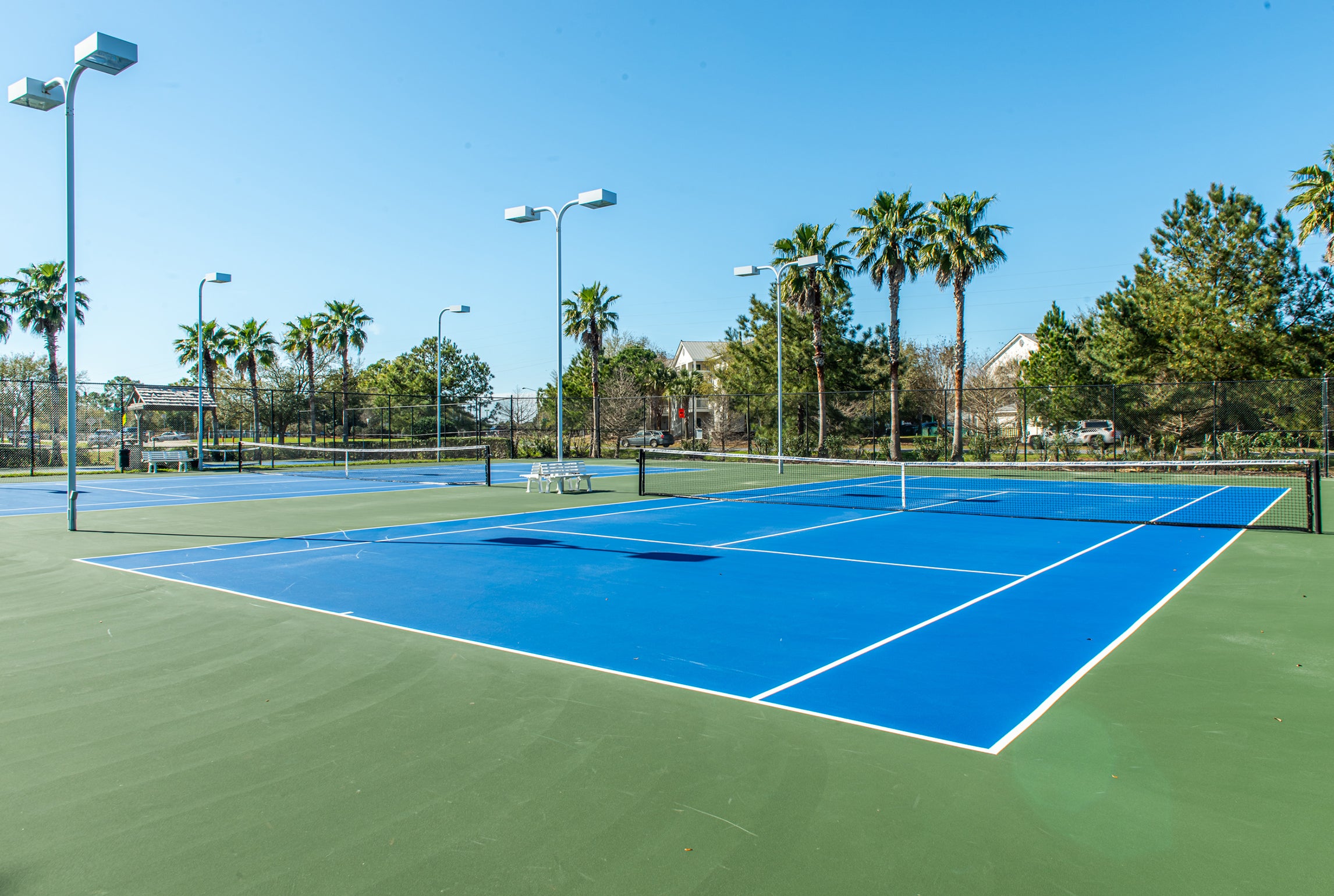 Tennis Courts Palms of Destin 