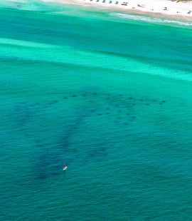 Dolphin Reef  Miramar Beach Regional Access 