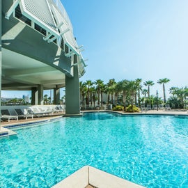 Large pool and lounging in sun or shade