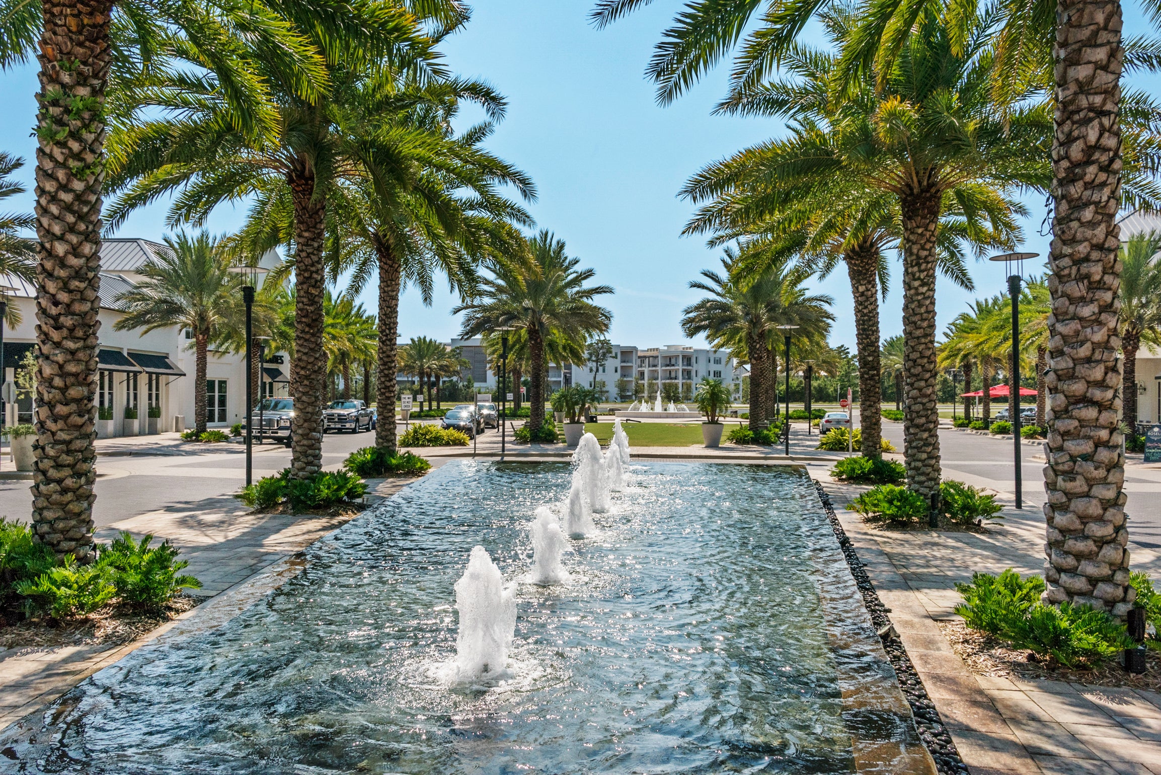 Beautiful fountains and palm trees
