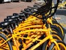 Bike Rentals nearby to explore 30A