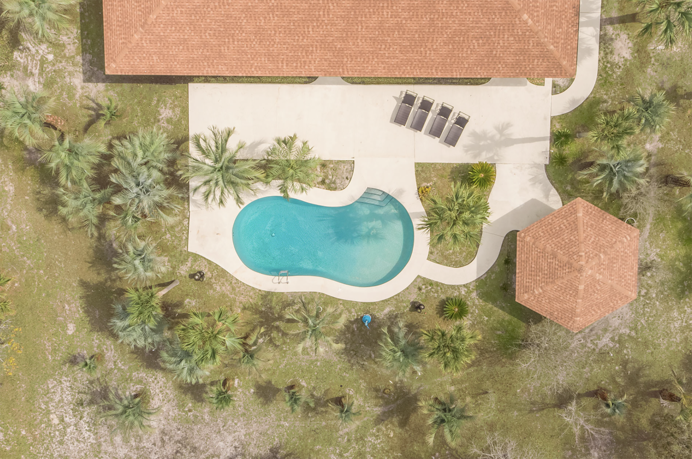 Aerial view of back yard and pool
