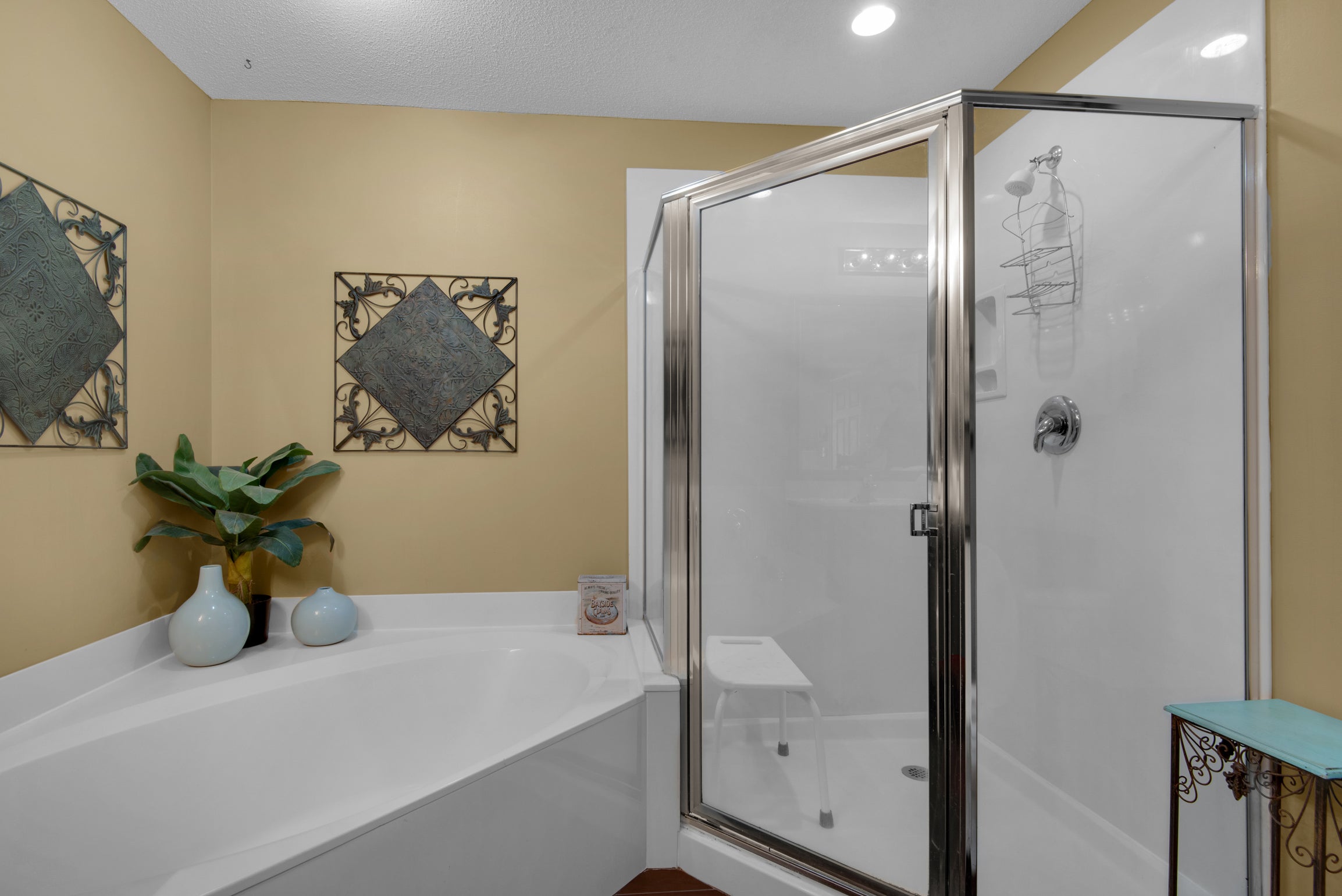Master bathroom with large tub and walk-in shower