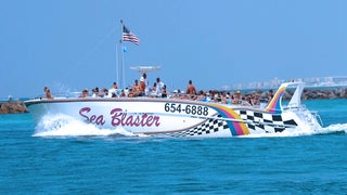 SeaBlaster+Dolphin+Cruise