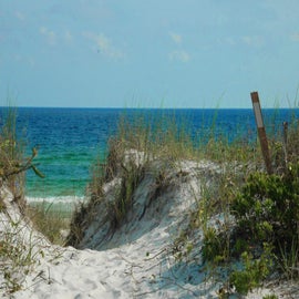 The Beach at Deer Lake 