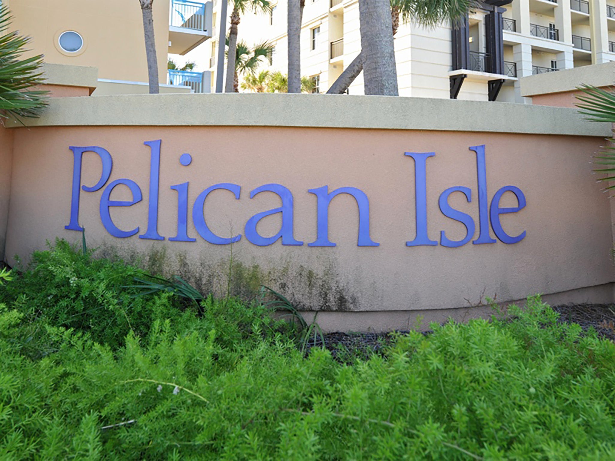 Welcome to Pelican Isle