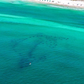 Dolphin Reef  Miramar Beach Regional Access 