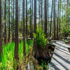 Take in the views on the walking paths 