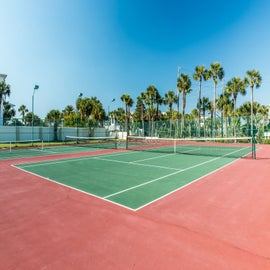 Palm Tree Lined Tennis Courts