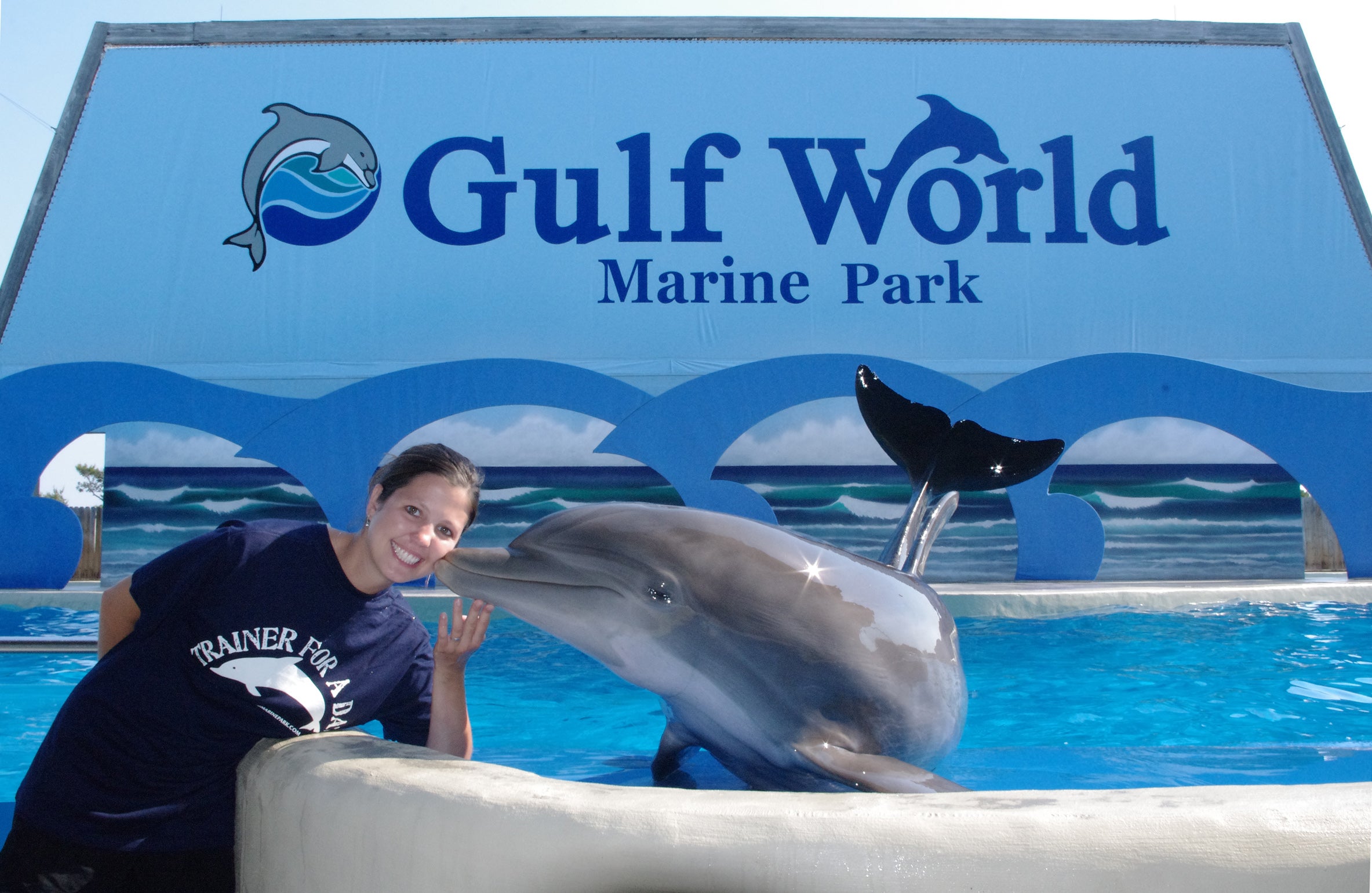 Check out Gulf World Marine Park nearby