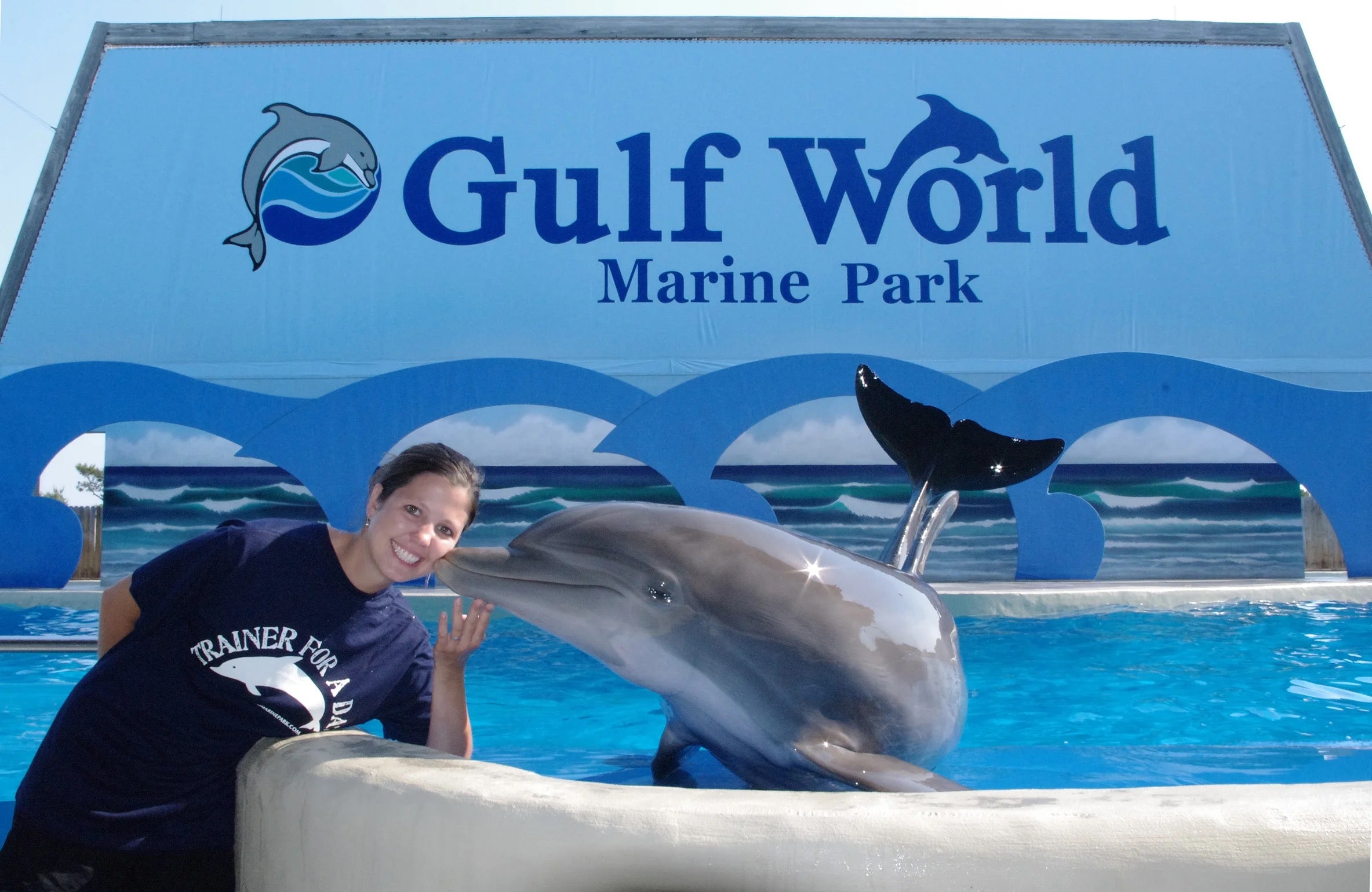 Gulf+World+Marine+Park+