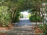 Enjoy the Tree Lined Paths around Rosemary Beach