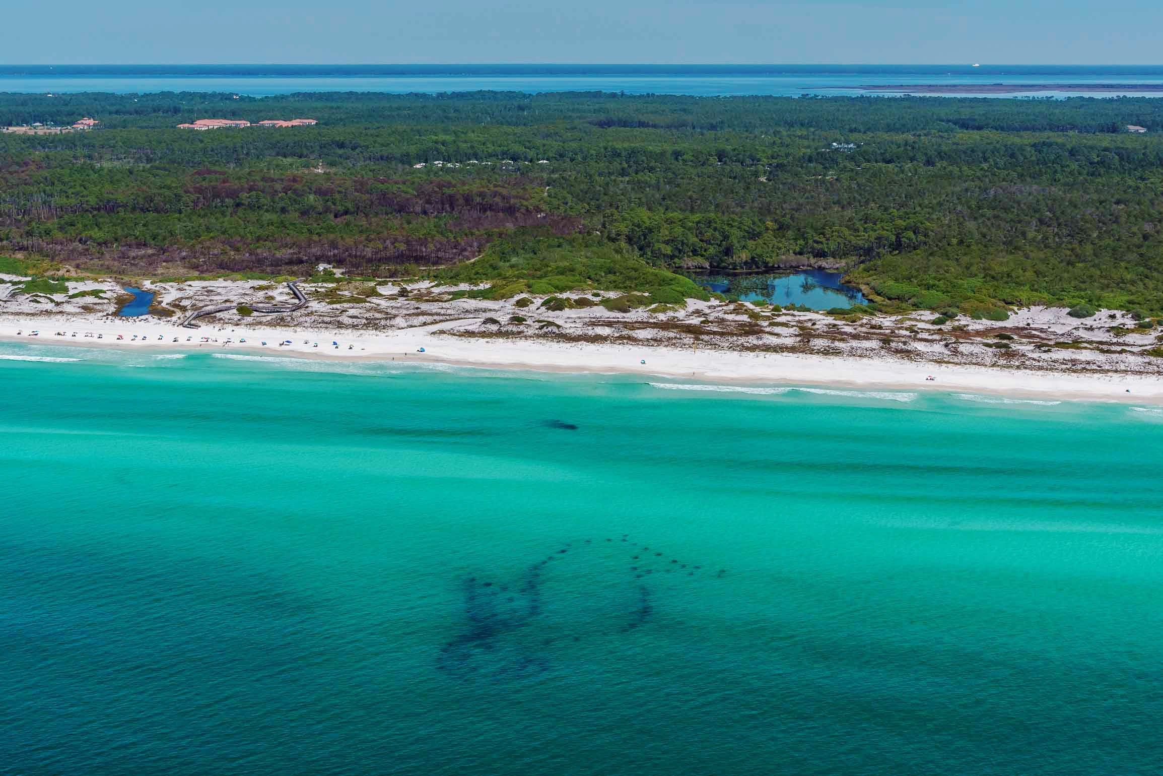 Seahorse Reef - Topsail Hill Preserve State Park