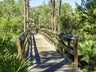 Nature Trails at Cypress Dunes