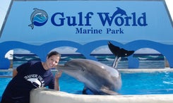 Visit Gulf World Marine Park