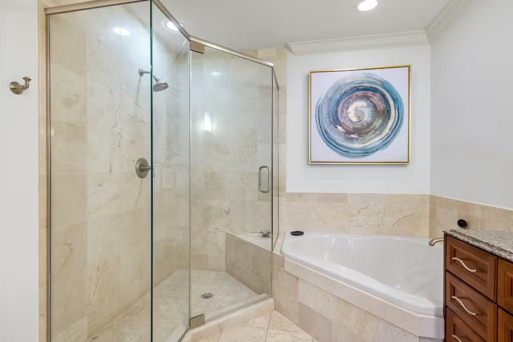 Master shower and tub
