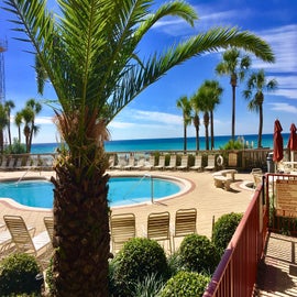 Beautiful landscaping and pool