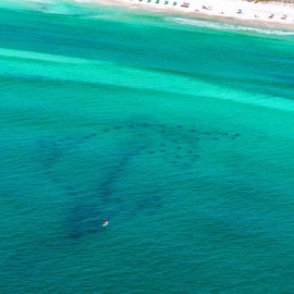 Dolphin Reef- Miramar Beach Regional Access 