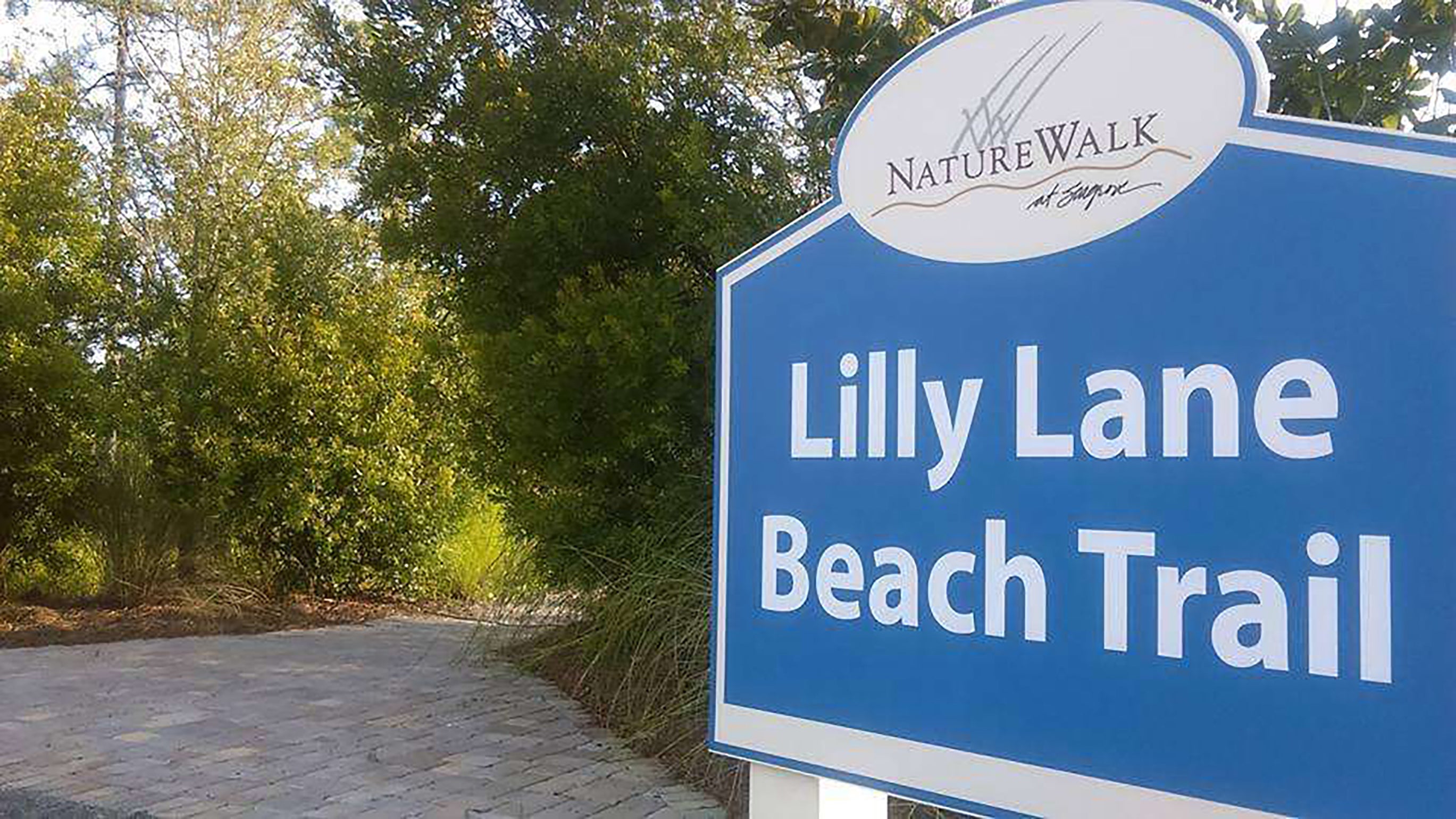 Lilly Lane Beach Trail