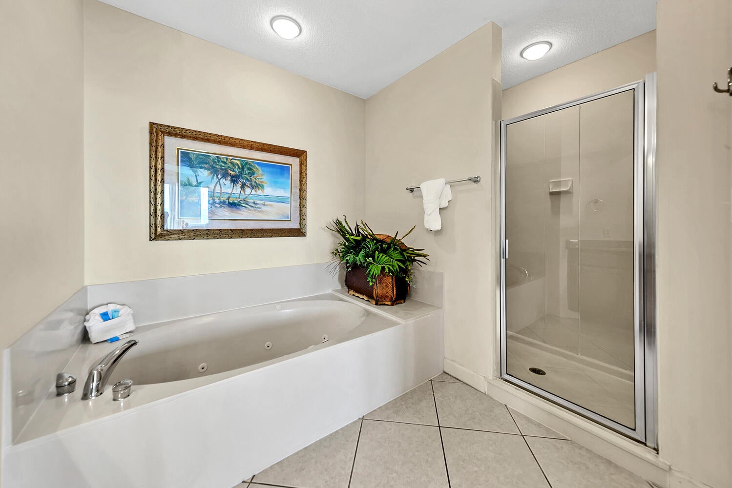 Master tub and shower