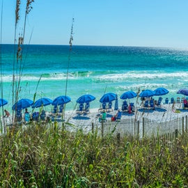 Gorgeous beach in front of Sterling Shores