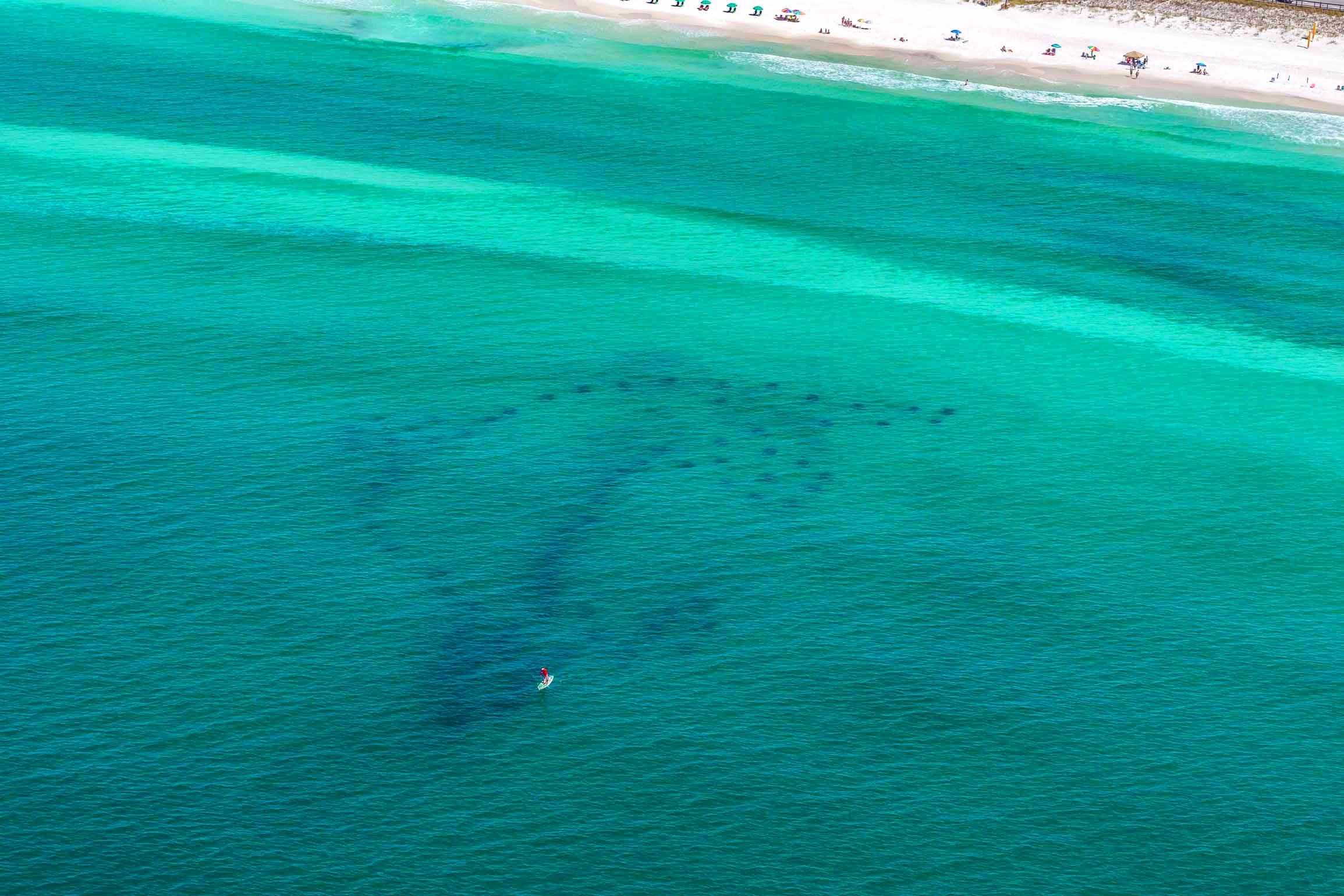 Dolphin Reef  Miramar Beach Access