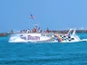 SeaBlaster Dolphin Cruise