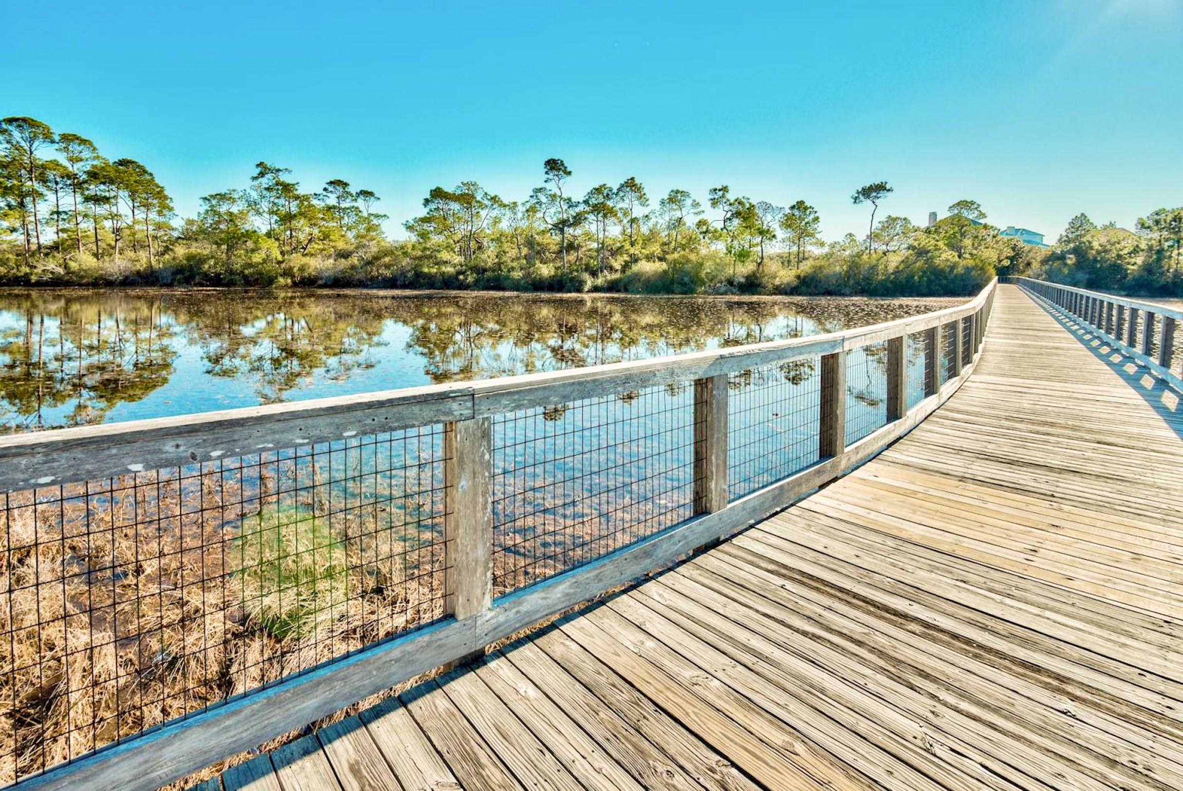 Enjoy the Winding Boardwalk and Nature Trails